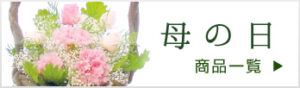 母の日用の商品一覧