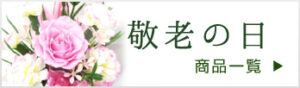 敬老の日用の商品一覧