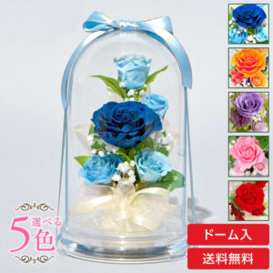 【お祝い用の枯れない花】プリザーブドフラワー 送料無料 お祝い 誕生日 枯れない花 ドーム入り バラ ローズガーデン プレゼント インテリア 造花 ギフト