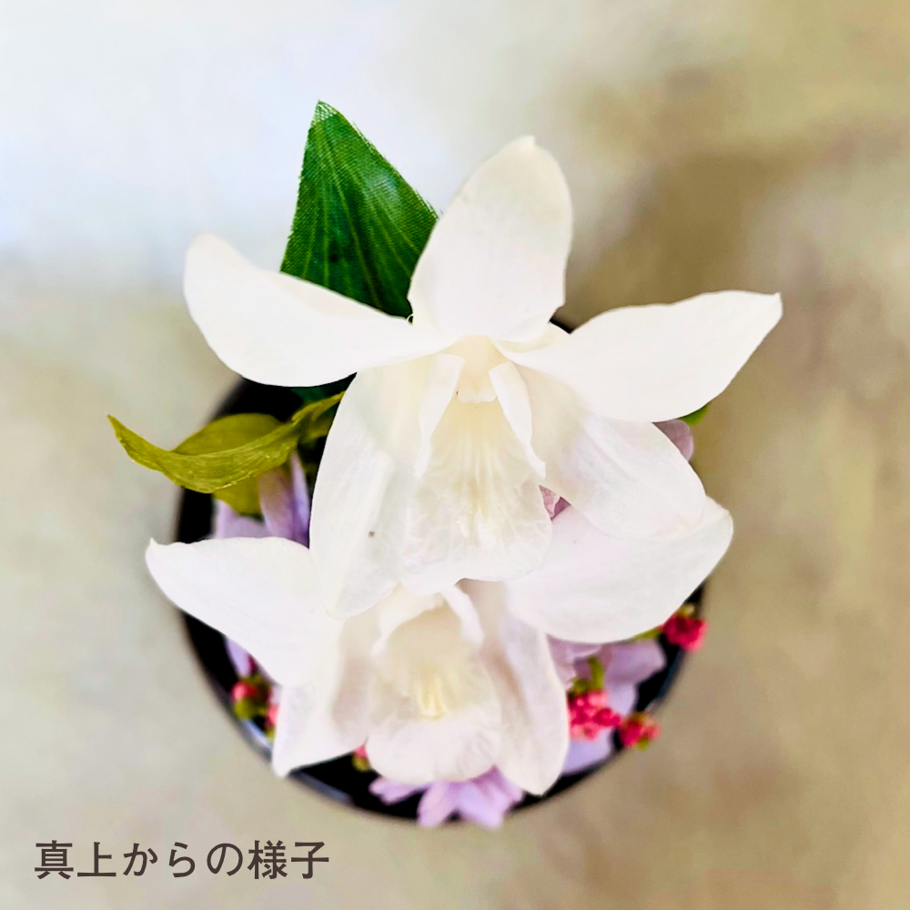 【お仏壇用の枯れない仏花・小さめ】デンファレ・アジサイ・ラスカス・ファンタジアなど盛りだくさんなプリザーブドフラワー(お花を護るドーム入り・花器付き) - 画像 (9)