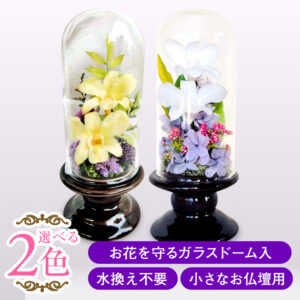 【お仏壇用の枯れない仏花・小さめ】デンファレ・アジサイ・ラスカス・ファンタジアなど盛りだくさんなプリザーブドフラワー(お花を護るドーム入り・花器付き)