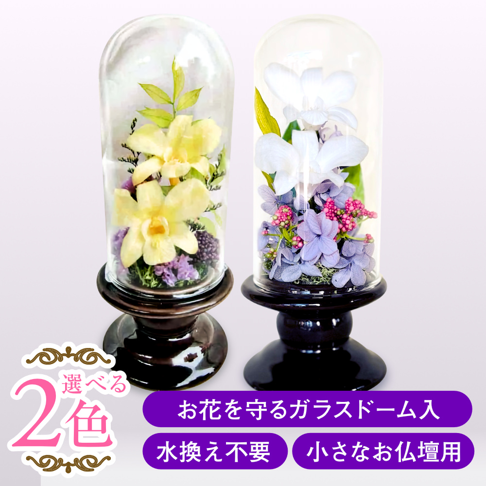 【お仏壇用の枯れない仏花・小さめ】デンファレ・アジサイ・ラスカス・ファンタジアなど盛りだくさんなプリザーブドフラワー(お花を護るドーム入り・花器付き)