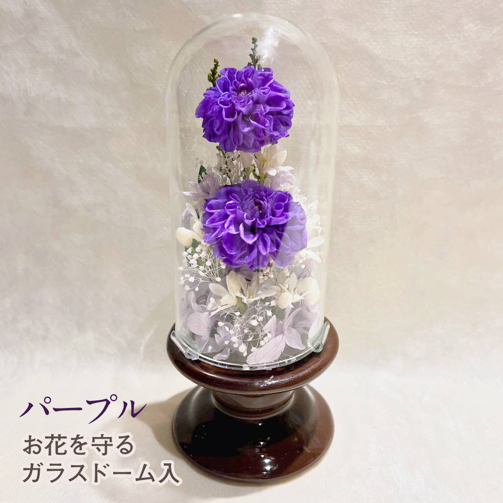【お仏壇用の枯れない仏花・小さめ】ダリア・紫陽花・カスミソウ・ストーブのプリザーブドフラワー(お花を護るドーム入り・花器付き) - 画像 (5)