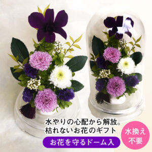 【お仏壇用の枯れない仏花】デンファレ・小菊・スターチス・アジサイのドーム入りプリザーブドフラワー