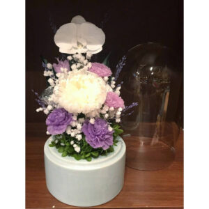 仏花 プリザーブドフラワー 送料無料 枯れない花 お仏壇 お供え花 お彼岸 仏壇飾り Lサイズ ドーム入り 胡蝶蘭 輪菊 小花 プレゼント インテリア 造花 ギフト