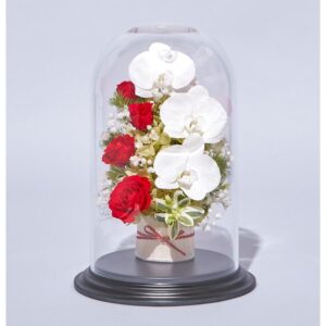 プリザーブドフラワー 送料無料 お祝い 誕生日 枯れない花 胡蝶蘭 バラ 結婚 出産 敬老の日 プレゼント インテリア 造花 ギフト