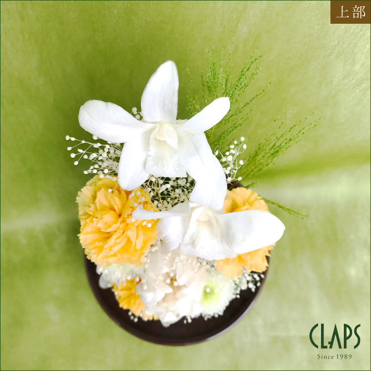 仏花 プリザーブドフラワー 送料無料 枯れない花 お仏壇 お供え花 お彼岸 仏壇飾り ガラスドーム デンファレ 白菊 プレゼント インテリア 造花 ギフト - 画像 (8)