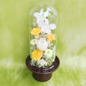 仏花 プリザーブドフラワー 送料無料 枯れない花 お仏壇 お供え花 お彼岸 仏壇飾り ガラスドーム デンファレ 白菊 プレゼント インテリア 造花 ギフト