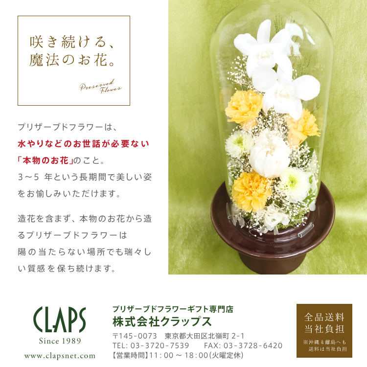 仏花 プリザーブドフラワー 送料無料 枯れない花 お仏壇 お供え花 お彼岸 仏壇飾り ガラスドーム デンファレ 白菊 プレゼント インテリア 造花 ギフト - 画像 (2)