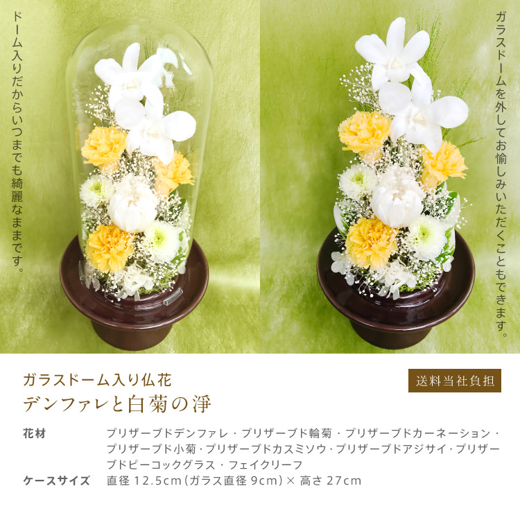 仏花 プリザーブドフラワー 送料無料 枯れない花 お仏壇 お供え花 お彼岸 仏壇飾り ガラスドーム デンファレ 白菊 プレゼント インテリア 造花 ギフト - 画像 (3)