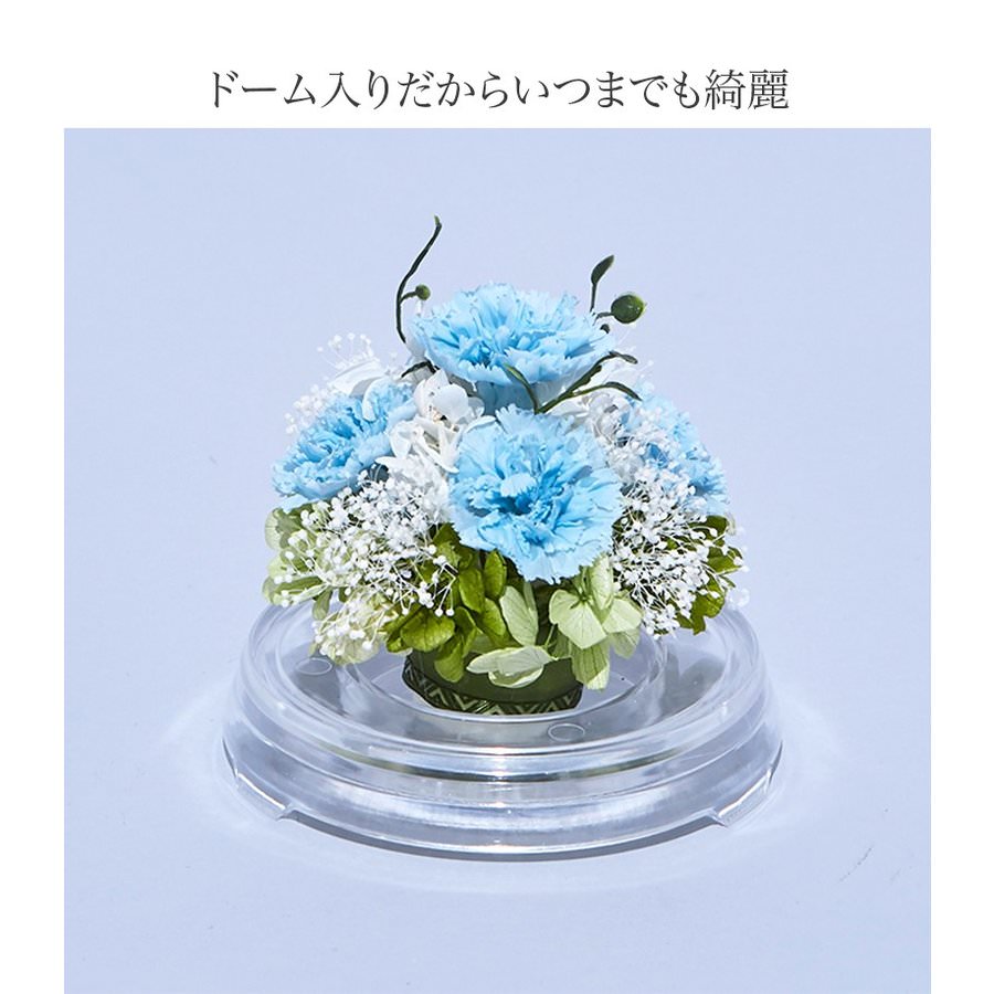 【お祝いに枯れない花・ドーム入】カーネーションのプリザーブドフラワーでつくるフラワードーム(Mサイズ)全6色 - 画像 (10)