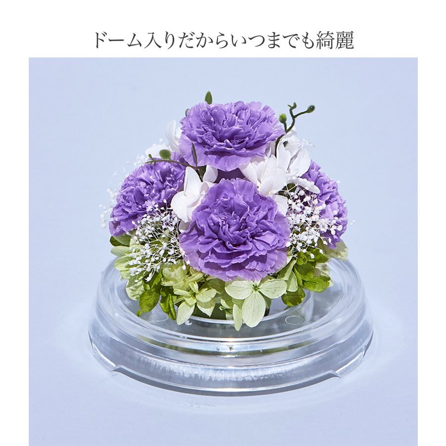 【お祝いに枯れない花・ドーム入】カーネーションのプリザーブドフラワーでつくるフラワードーム(Mサイズ)全6色 - 画像 (14)