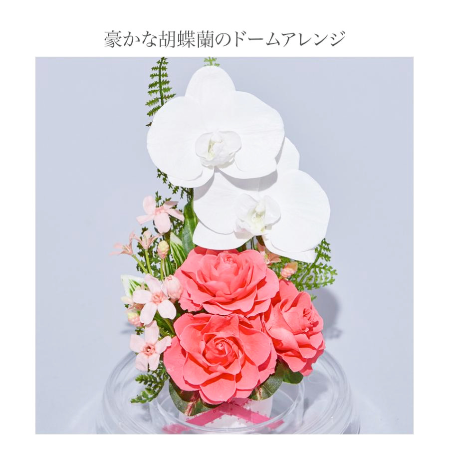 【お祝いに枯れない花】胡蝶蘭とバラの豪華なプリザーブドフラワーのフラワードーム「慶蝶」(ドーム入) - 画像 (4)