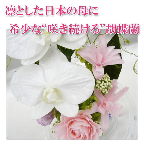 【お祝い用の枯れない花・ドーム入】胡蝶蘭とバラ、におい桜の美しいプリザーブドフラワー - 画像 (3)