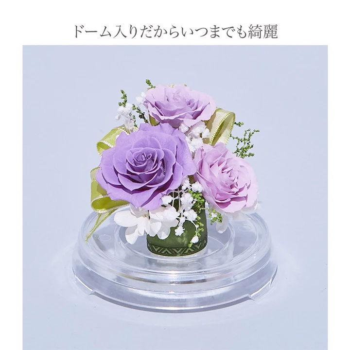 【お祝いに枯れない花ギフト】美しいバラのプリザーブドフラワーが詰まった小さめフラワードーム「芽」水交換不要のインテリア - 画像 (12)