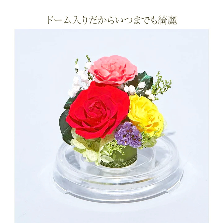 【お祝いに枯れない花ギフト】美しいバラのプリザーブドフラワーが詰まった小さめフラワードーム「芽」水交換不要のインテリア - 画像 (27)