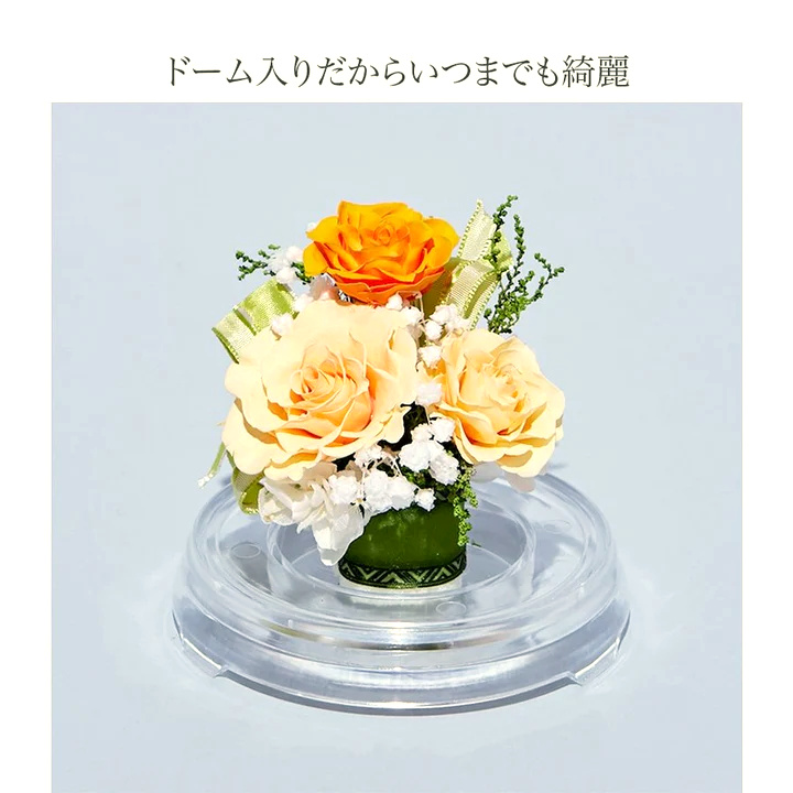 【お祝いに枯れない花ギフト】美しいバラのプリザーブドフラワーが詰まった小さめフラワードーム「芽」水交換不要のインテリア - 画像 (18)