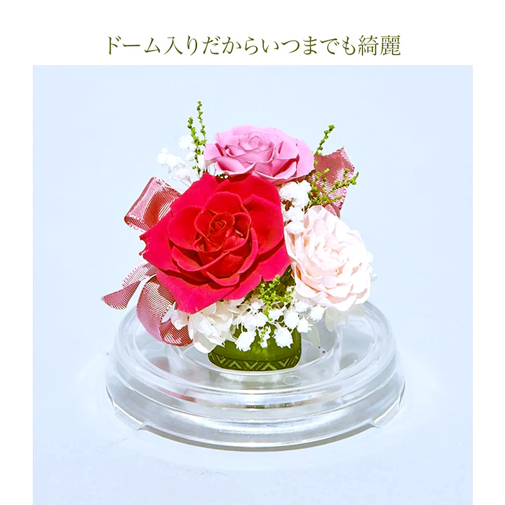 【お祝いに枯れない花ギフト】美しいバラのプリザーブドフラワーが詰まった小さめフラワードーム「芽」水交換不要のインテリア - 画像 (24)
