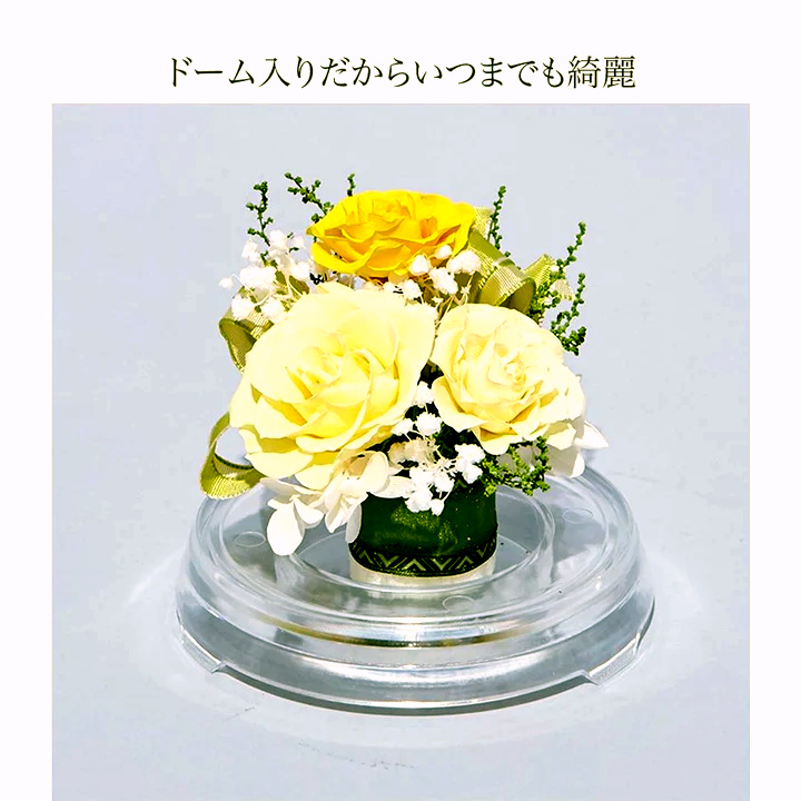【お祝いに枯れない花ギフト】美しいバラのプリザーブドフラワーが詰まった小さめフラワードーム「芽」水交換不要のインテリア - 画像 (15)