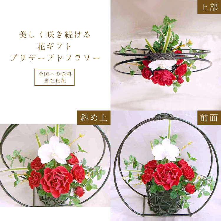【お祝い用・枯れない花ギフト・和風】胡蝶蘭と赤色の薔薇の贅沢なプリザーブドフラワー「御所車」造花の高級インテリア - 画像 (3)