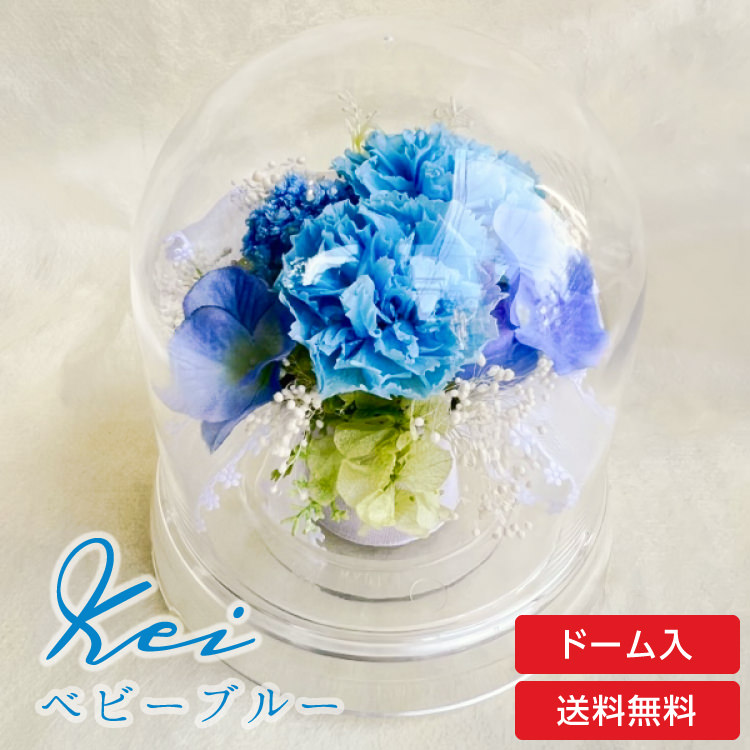 【お祝いに枯れない花飾り】カーネーションと小花のプリザーブドフラワー「ケイ」(小さめのフラワードーム入)水交換不要のインテリア - 画像 (25)