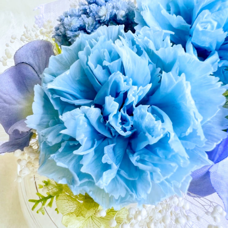 【お祝いに枯れない花飾り】カーネーションと小花のプリザーブドフラワー「ケイ」(小さめのフラワードーム入)水交換不要のインテリア - 画像 (33)