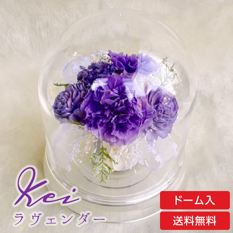 【お祝いに枯れない花飾り】カーネーションと小花のプリザーブドフラワー「ケイ」(小さめのフラワードーム入)水交換不要のインテリア - 画像 (37)