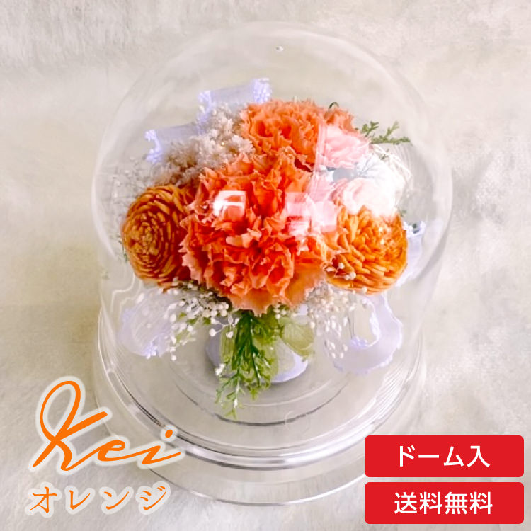 【お祝いに枯れない花飾り】カーネーションと小花のプリザーブドフラワー「ケイ」(小さめのフラワードーム入)水交換不要のインテリア - 画像 (2)