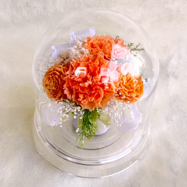 【お祝いに枯れない花飾り】カーネーションと小花のプリザーブドフラワー「ケイ」(小さめのフラワードーム入)水交換不要のインテリア - 画像 (3)