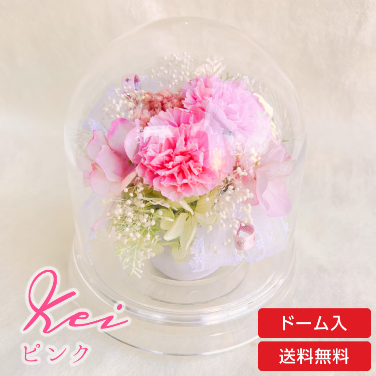 【お祝いに枯れない花飾り】カーネーションと小花のプリザーブドフラワー「ケイ」(小さめのフラワードーム入)水交換不要のインテリア - 画像 (47)