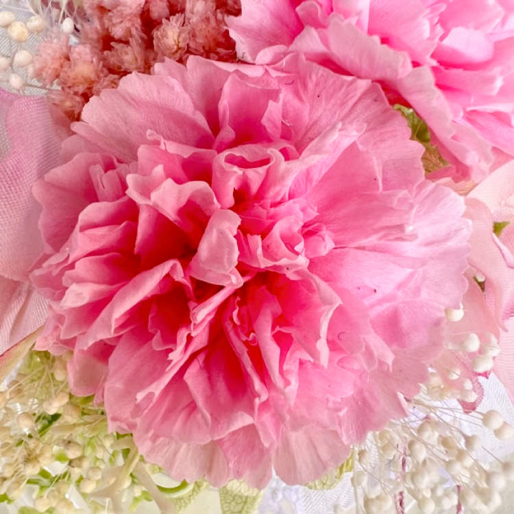 【お祝いに枯れない花飾り】カーネーションと小花のプリザーブドフラワー「ケイ」(小さめのフラワードーム入)水交換不要のインテリア - 画像 (56)