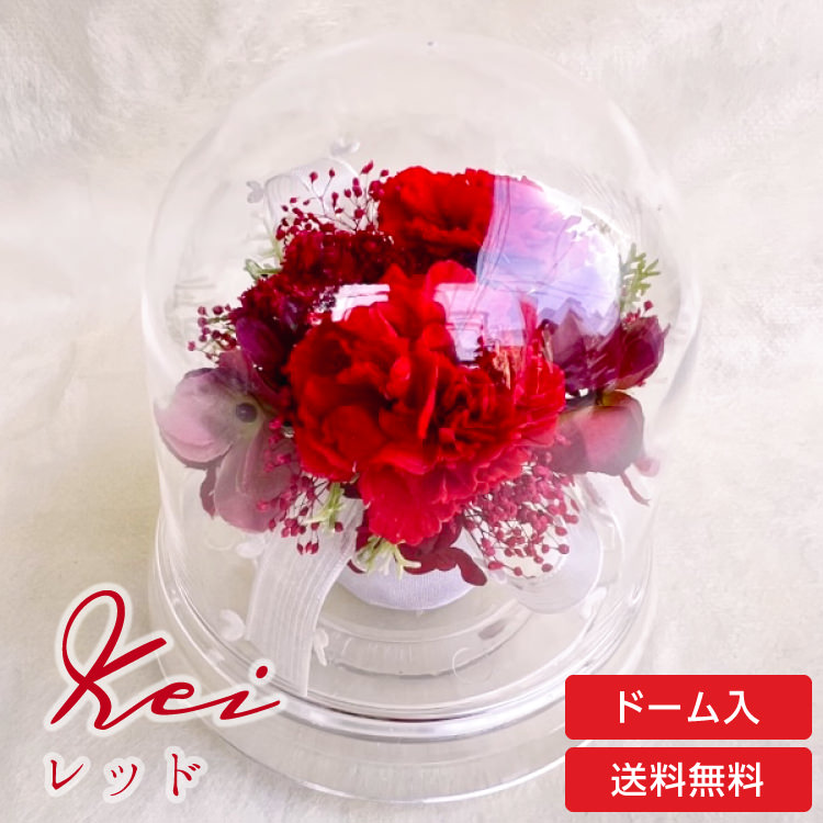 【お祝いに枯れない花飾り】カーネーションと小花のプリザーブドフラワー「ケイ」(小さめのフラワードーム入)水交換不要のインテリア - 画像 (57)