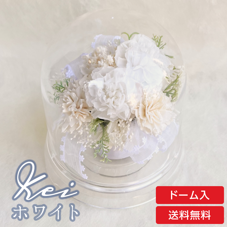 【お祝いに枯れない花飾り】カーネーションと小花のプリザーブドフラワー「ケイ」(小さめのフラワードーム入)水交換不要のインテリア - 画像 (69)