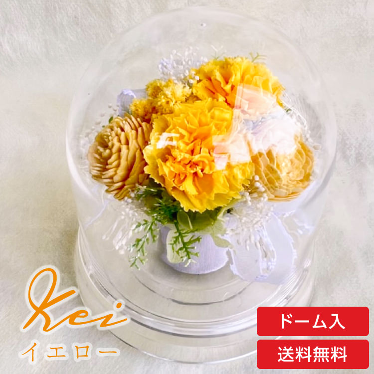【お祝いに枯れない花飾り】カーネーションと小花のプリザーブドフラワー「ケイ」(小さめのフラワードーム入)水交換不要のインテリア - 画像 (14)