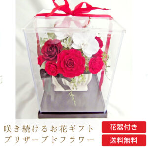 【お祝い用・枯れない花ギフト】豪華な胡蝶蘭とバラのプリザーブドフラワー「慶」 ケース有／無、水交換不要のインテリアギフト