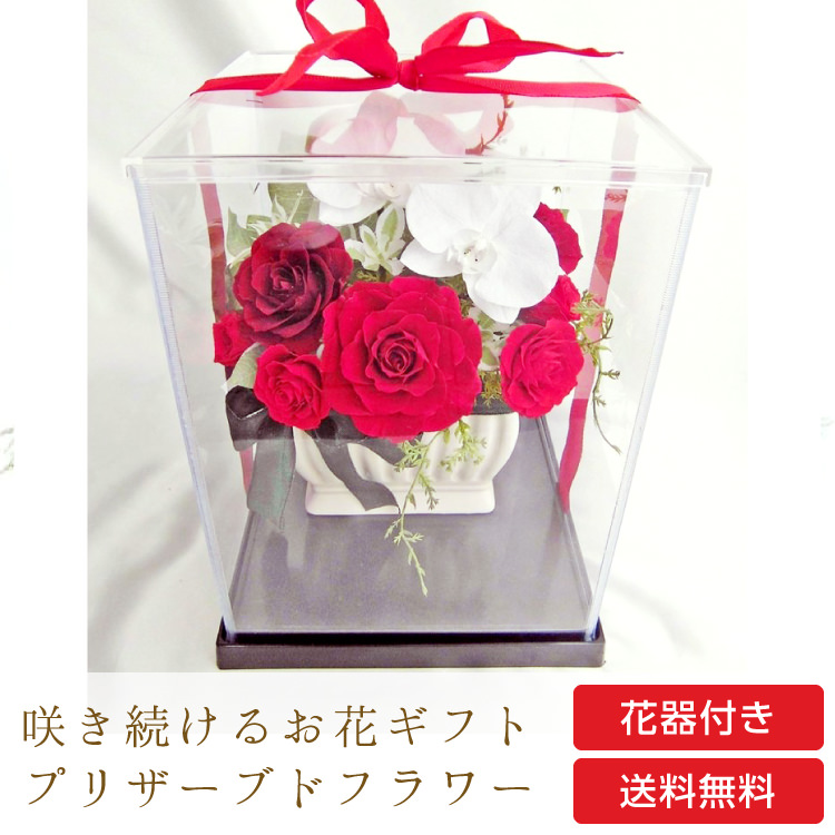 【お祝い用・枯れない花ギフト】豪華な胡蝶蘭とバラのプリザーブドフラワー「慶」 ケース有/無、水交換不要のインテリアギフト