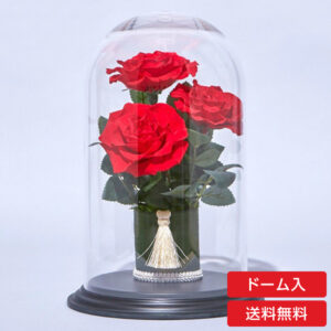 【お祝い用・枯れない花ギフト】真紅のバラ3輪のプリザーブドフラワー（ドーム入り）造花インテリア花ギフト
