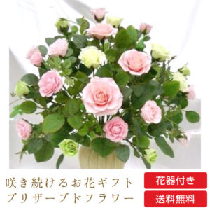 【お祝いに枯れない花ギフト】やさしいピンクローズのプリザーブドフラワー「プリンセス」水交換不要のインテリア